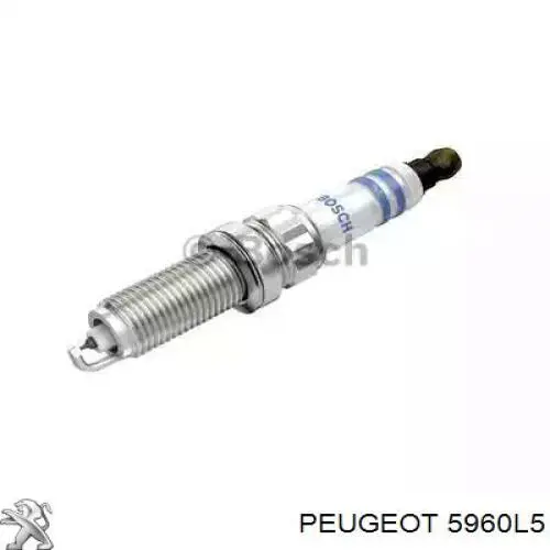 5960L5 Peugeot/Citroen vela de ignição