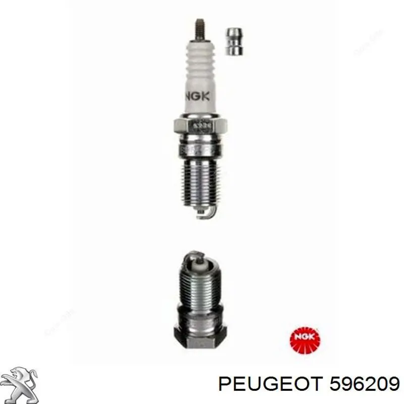 596209 Peugeot/Citroen свечи