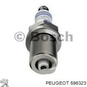 596323 Peugeot/Citroen Наконечник свечи зажигания