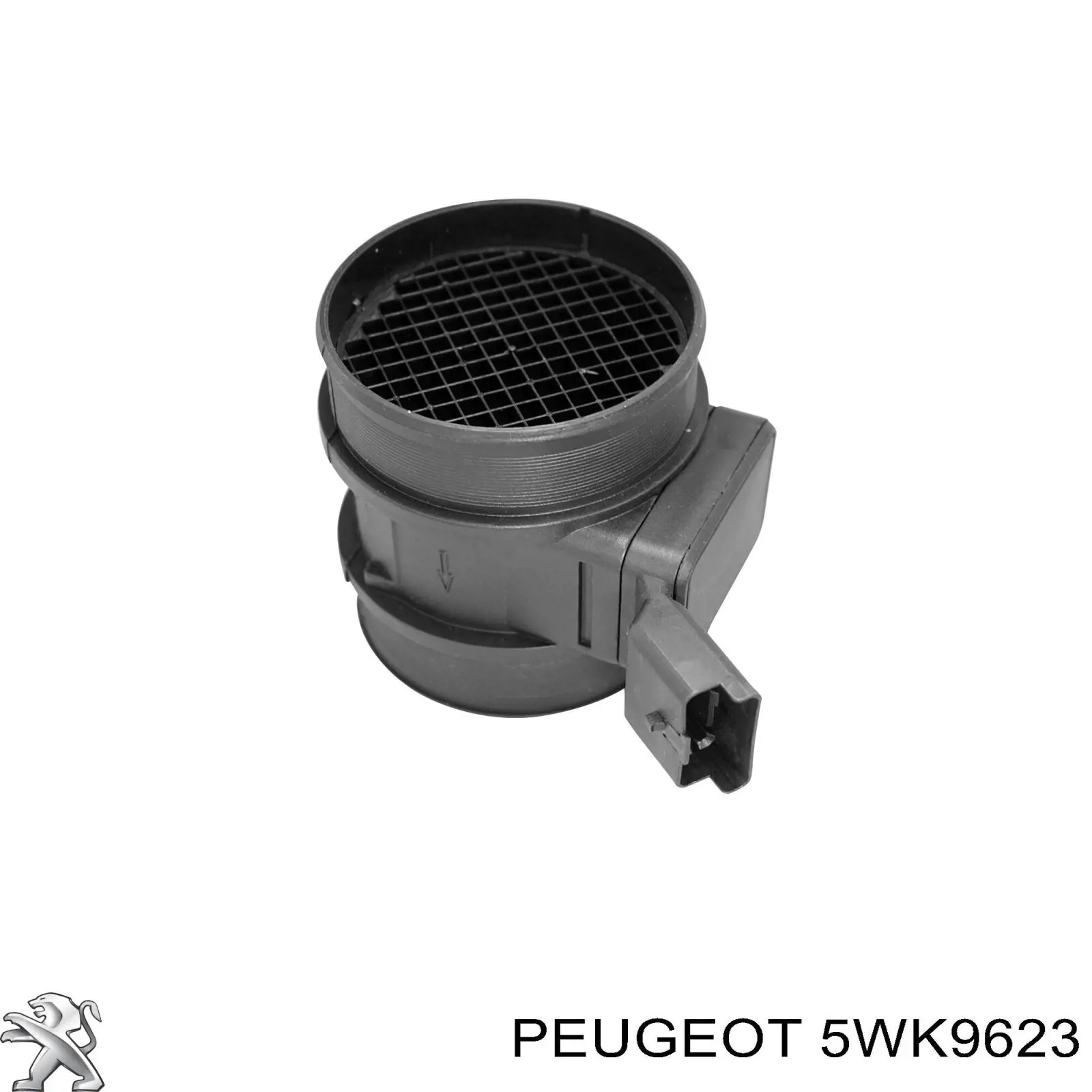 Расходомер воздуха Peugeot/Citroen 5WK9623