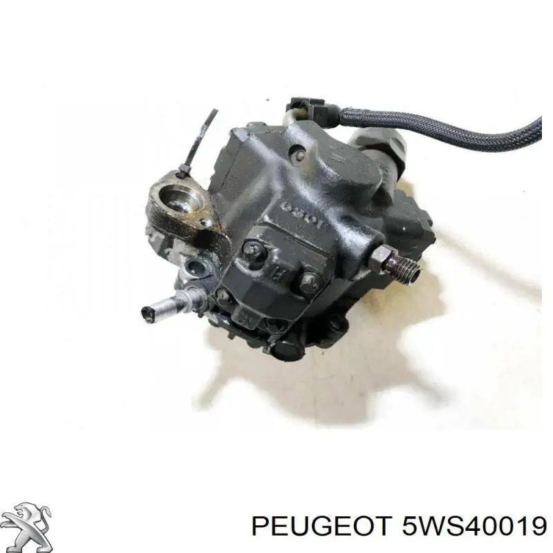 5WS40019 Fiat/Alfa/Lancia Насос топливный высокого давления (ТНВД)