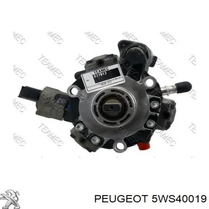 ТНВД 5WS40019 Fiat/Alfa/Lancia