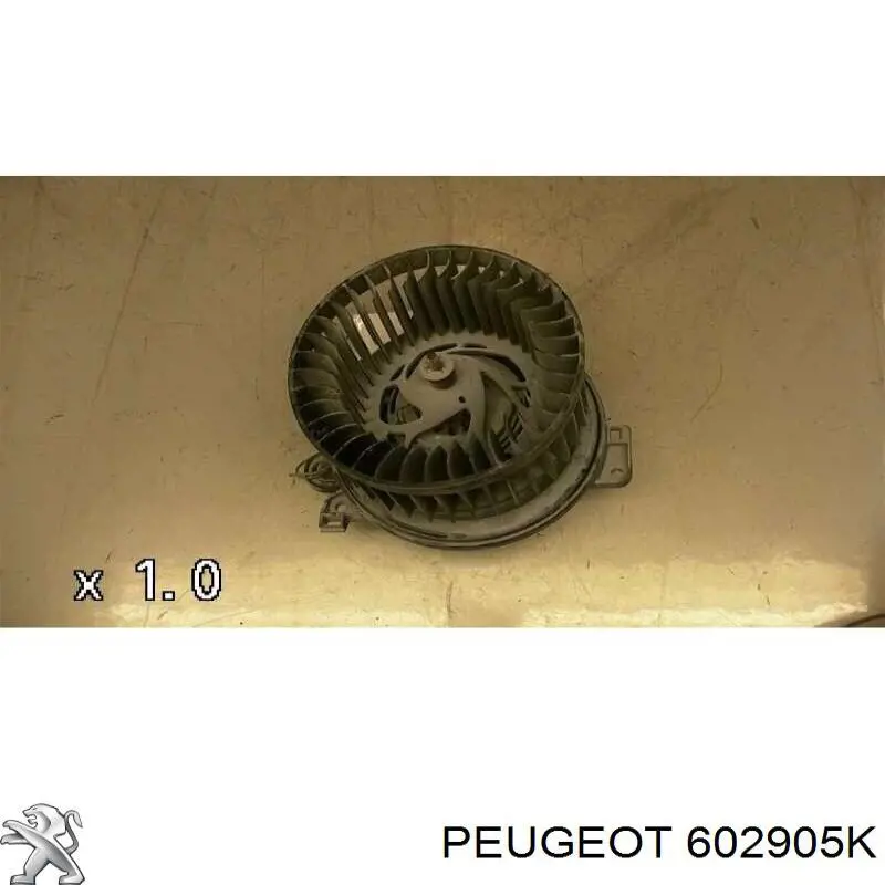 602905K Peugeot/Citroen 