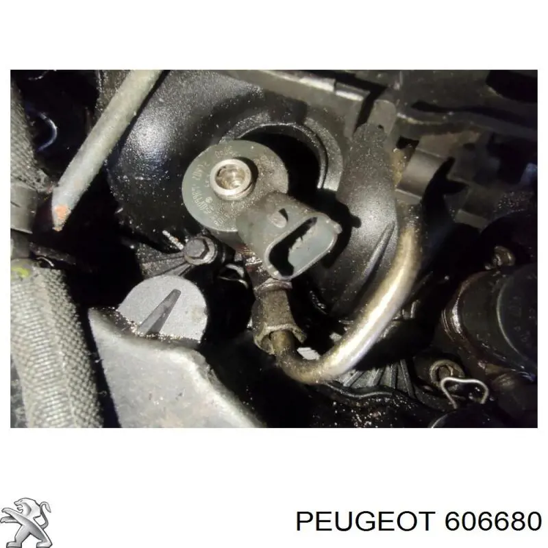 606680 Peugeot/Citroen injetor de injeção de combustível