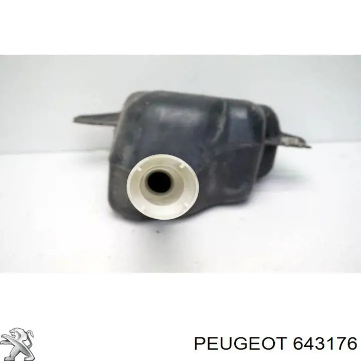 Бачок омывателя лобового стекла Peugeot/Citroen 643176 цена, от 16.56 USD