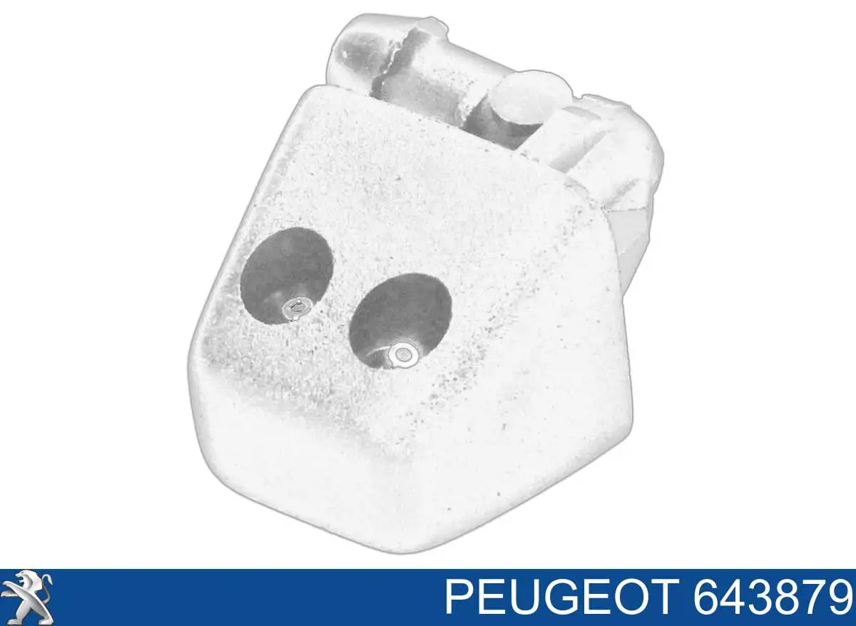 643879 Peugeot/Citroen форсунка омывателя лобового стекла