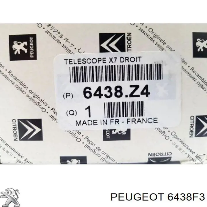 6438F3 Peugeot/Citroen suporte do injetor de fluido para lavador das luzes (cilindro de elevação)