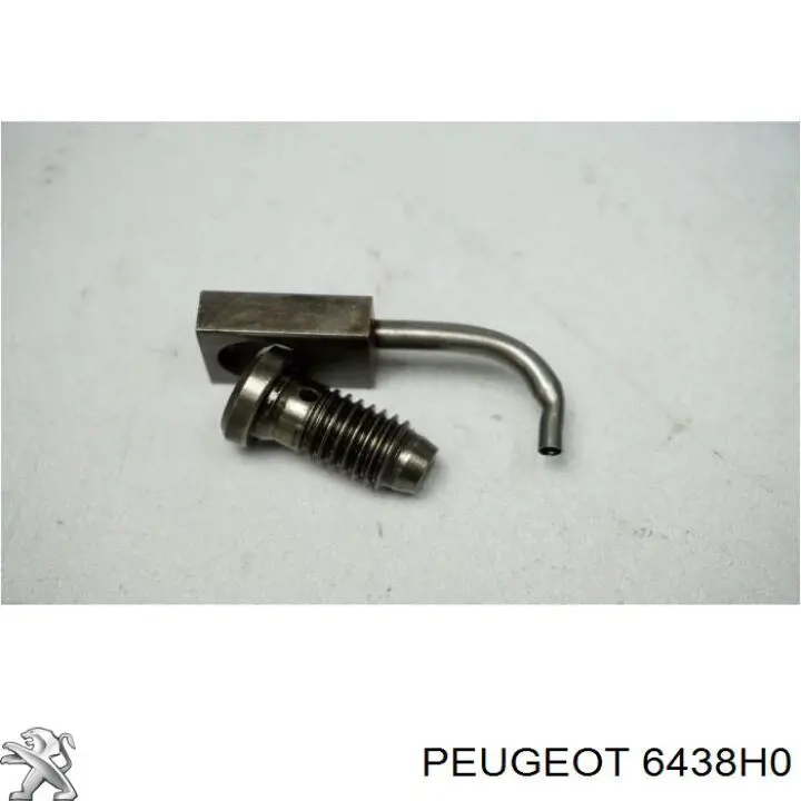 6438H0 Peugeot/Citroen Веерная форсунка омывателя
