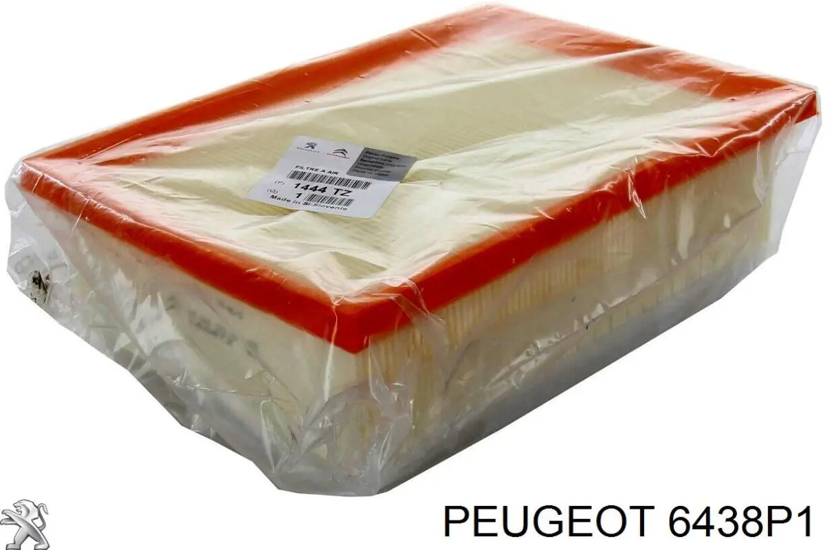 Держатель форсунки омывателя фары Peugeot/Citroen 6438P1