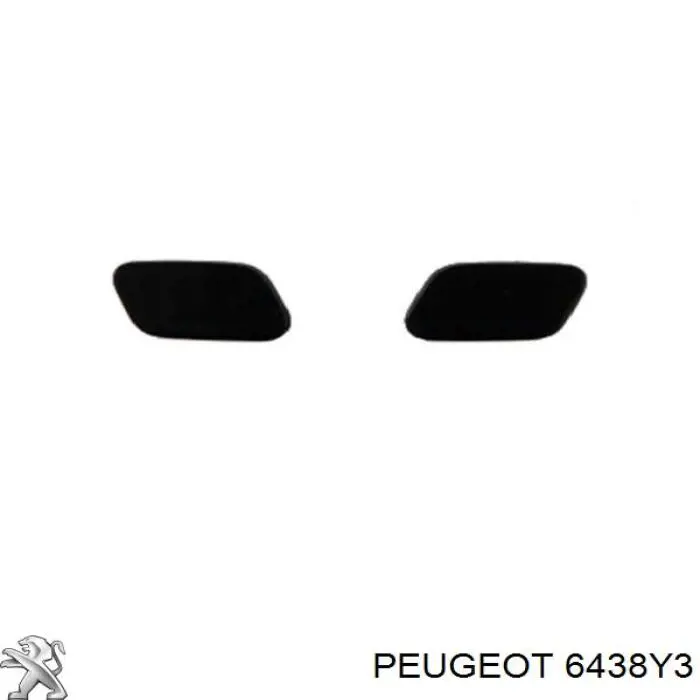 6438Y3 Peugeot/Citroen Веерная форсунка омывателя