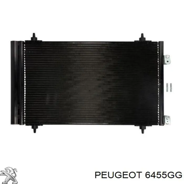 00006455GG Peugeot/Citroen