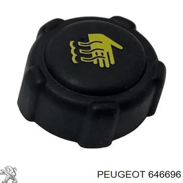 646696 Peugeot/Citroen 