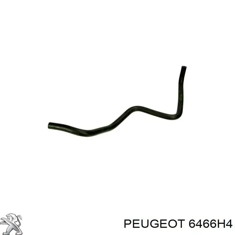 Tubería de radiador, retorno 6466H4 Peugeot/Citroen
