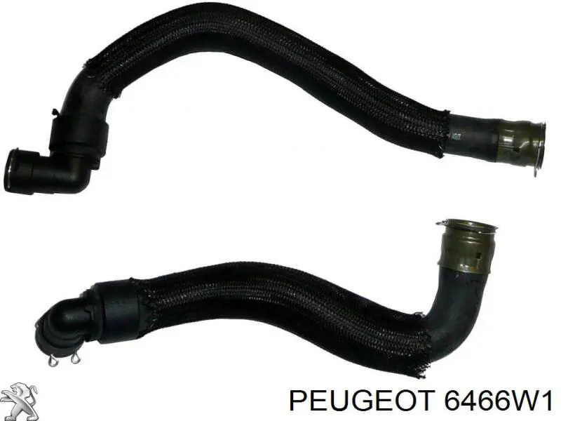  Sasic 3400231
