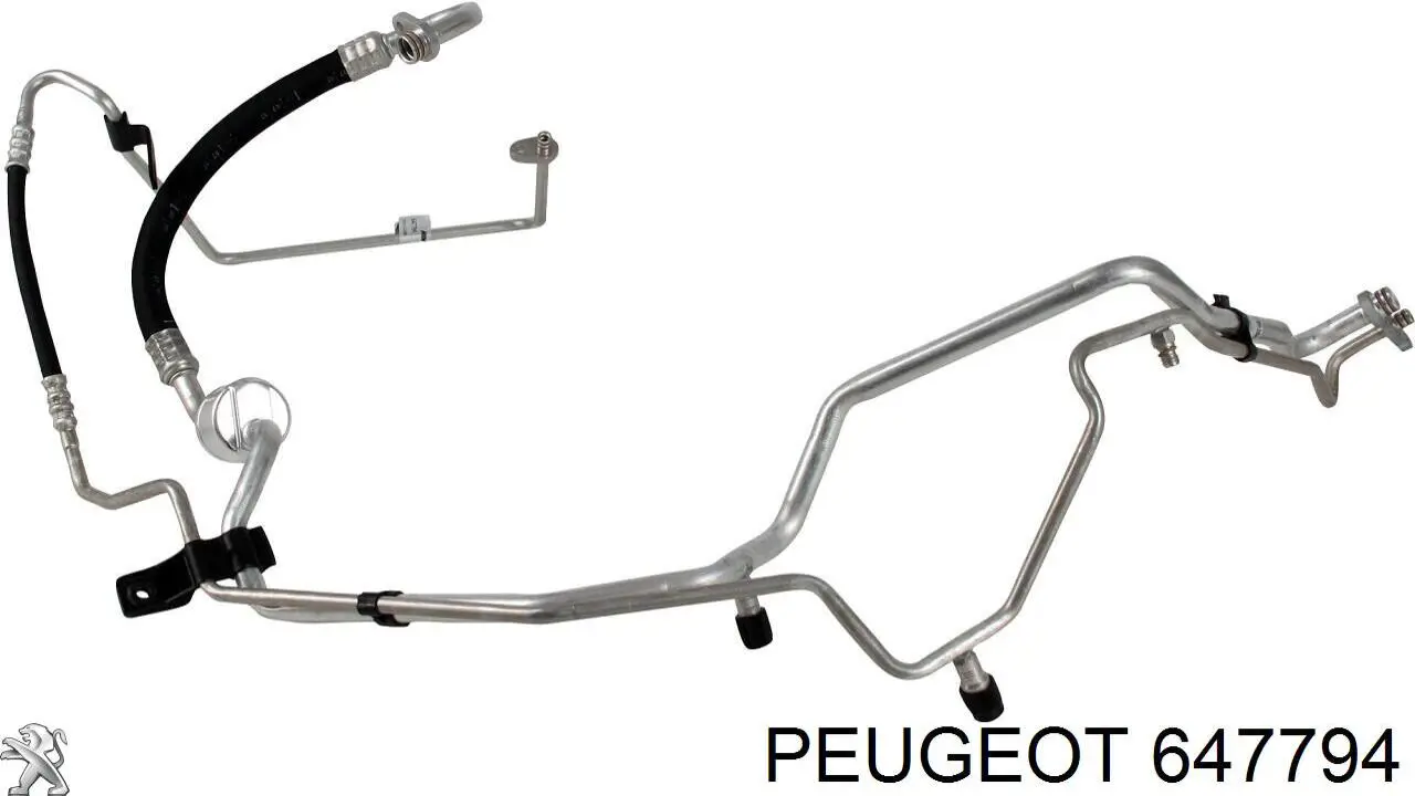 Шланг кондиционера, от испарителя к компрессору Peugeot/Citroen 647794 цена, от 41.97 USD