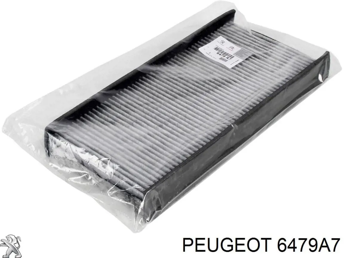 6479A7 Peugeot/Citroen filtro de salão