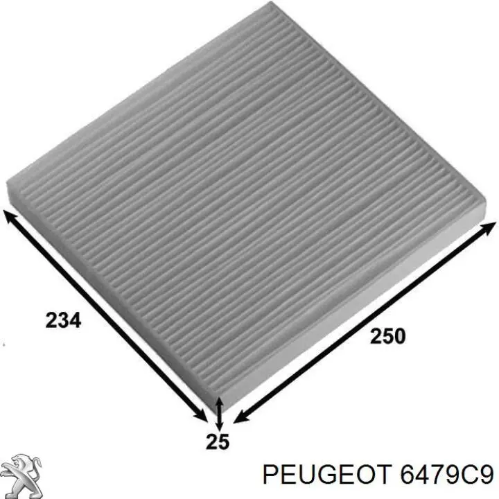 6479C9 Peugeot/Citroen Filtro de salão