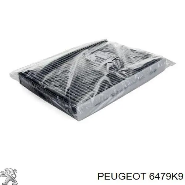 6479K9 Peugeot/Citroen filtro de salão