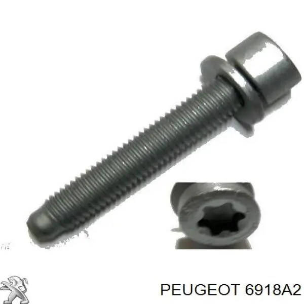 Perno del soporte de montaje del motor 6918A2 Peugeot/Citroen
