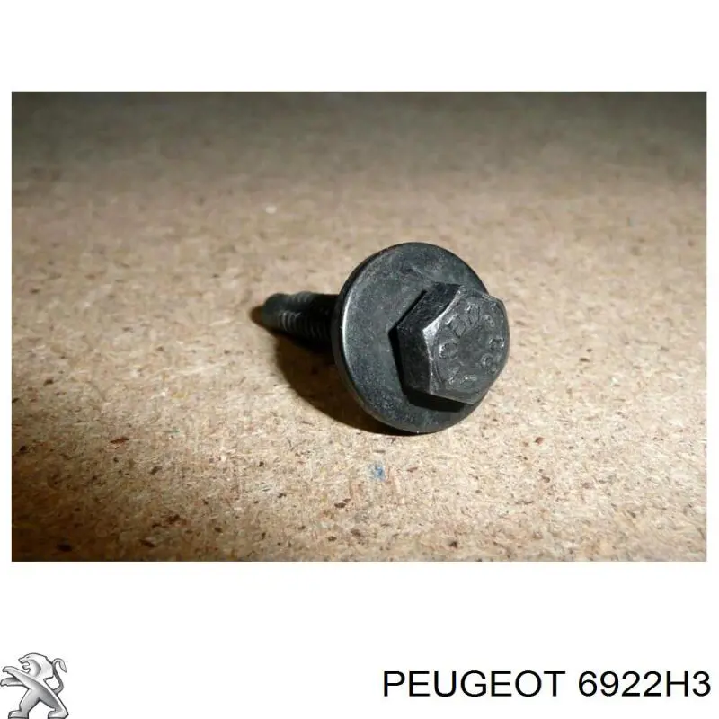Perno de protección del motor 6922H3 Peugeot/Citroen