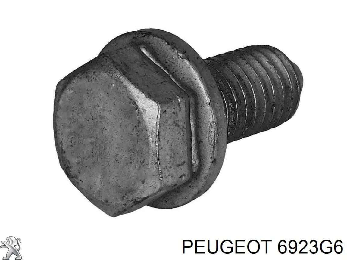 6923G6 Peugeot/Citroen parafuso