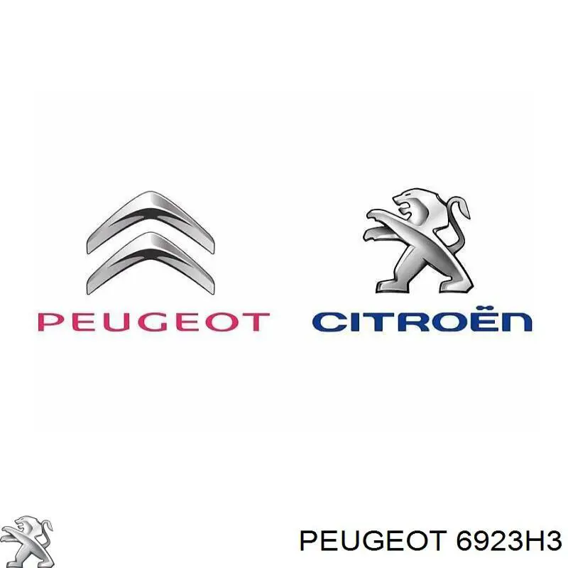 6923F5 Peugeot/Citroen болт