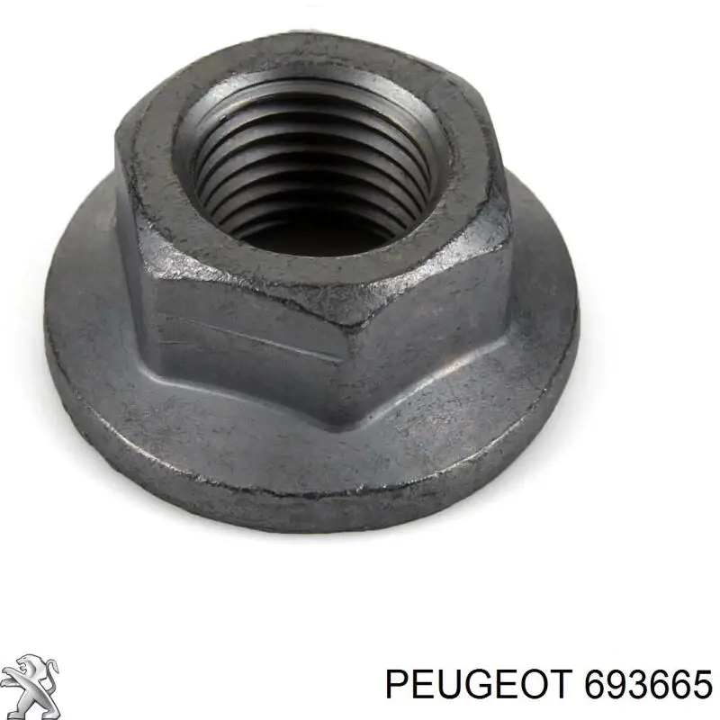 Гайка крепления задней балки (подрамника) на Peugeot 508 