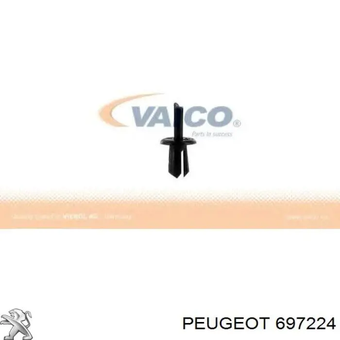 697224 Peugeot/Citroen 