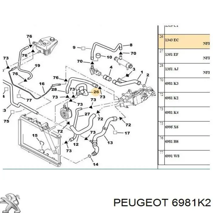  6981K2 Peugeot/Citroen