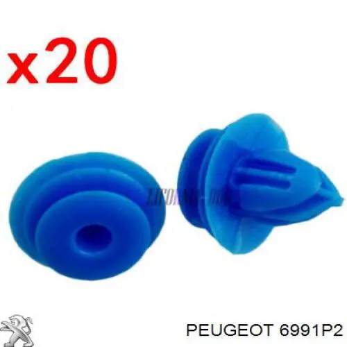  6991P2 Peugeot/Citroen