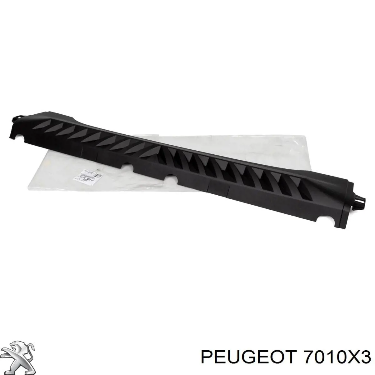 7010X3 PEUGEOT Listón de acceso exterior derecho original y equivalente