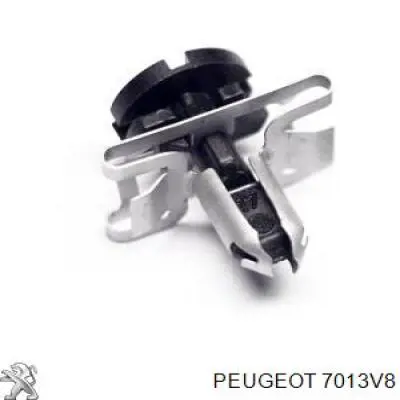  7013V8 Peugeot/Citroen