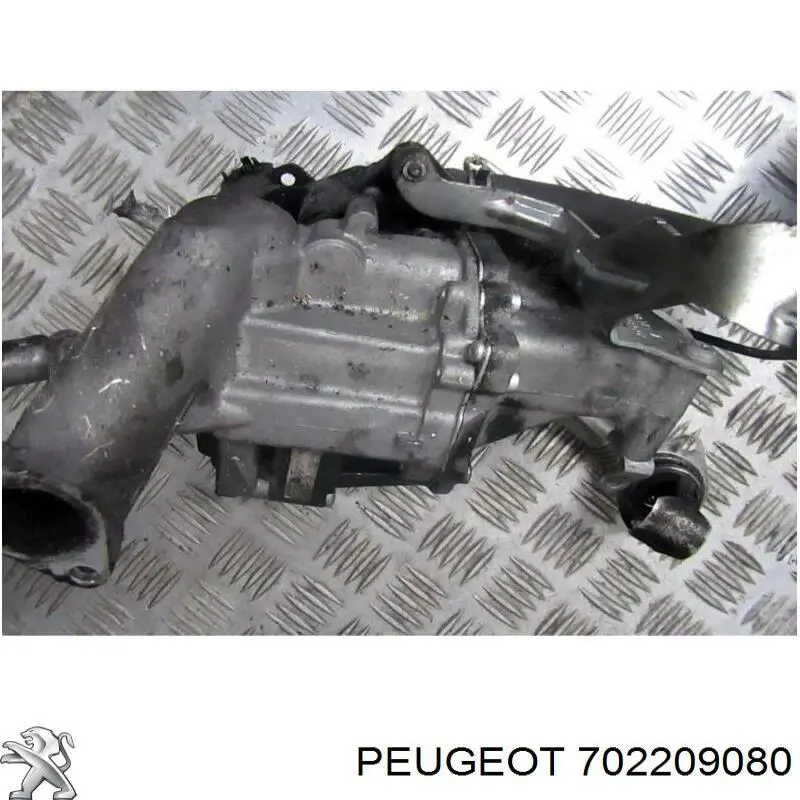 Купить 702209080 Peugeot/Citroen Клапан EGR системы рециркуляции отработавших газов