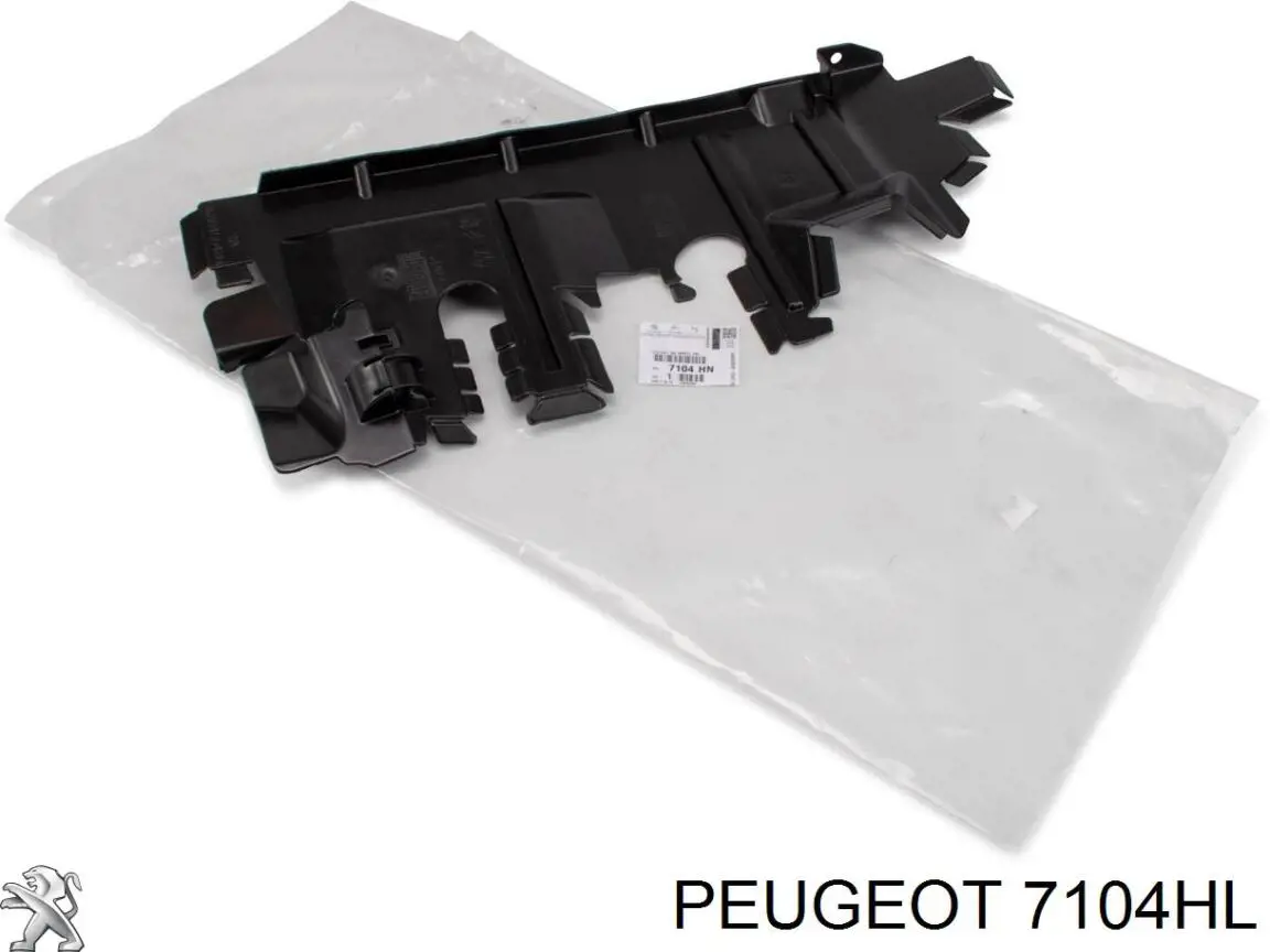 Воздуховод (дефлектор) радиатора левый Peugeot/Citroen 7104HL цена, от 70.92 USD