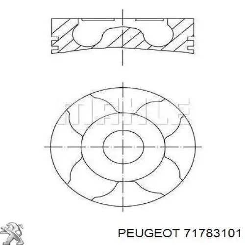 71783101 Peugeot/Citroen pistão do kit para 1 cilindro, std