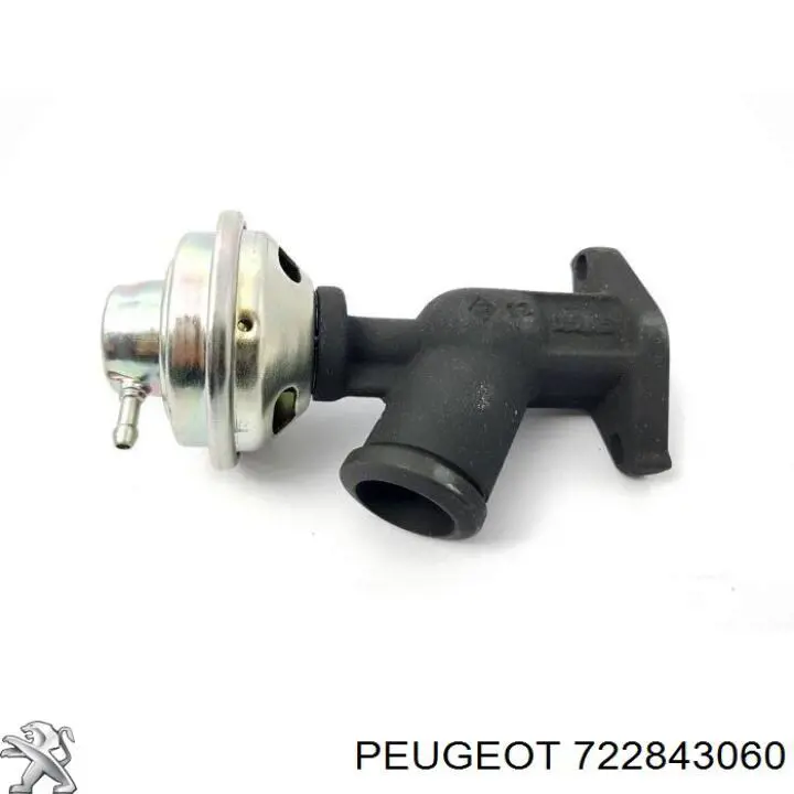 7.22843.06.0 Peugeot/Citroen клапан егр