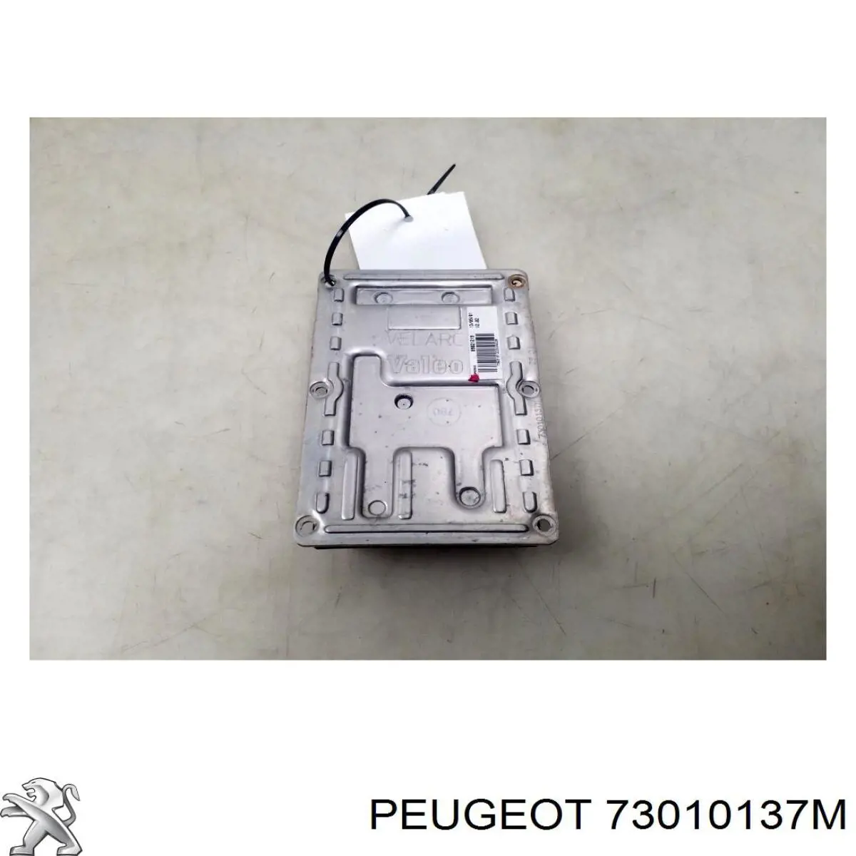 73010137M VAG 