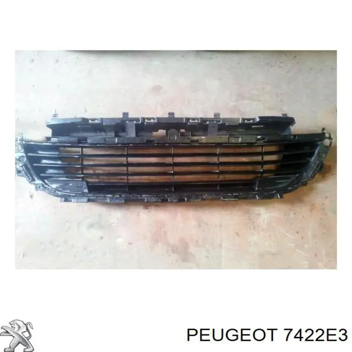 7422E3 Peugeot/Citroen 