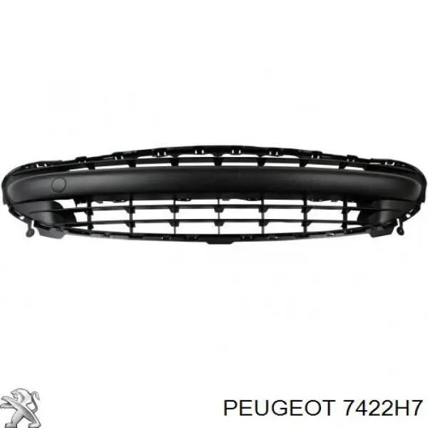 Решетка на бампер Peugeot/Citroen 7422H7