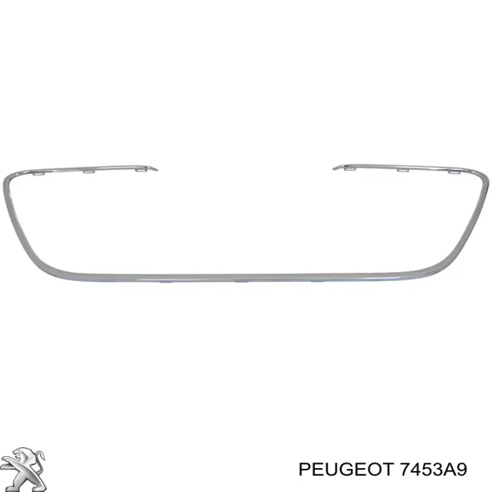 PPG07005MA Signeda Накладка решетки радиатора