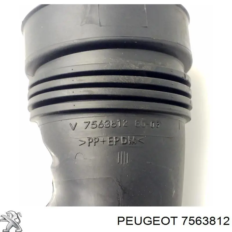  7563812 Peugeot/Citroen