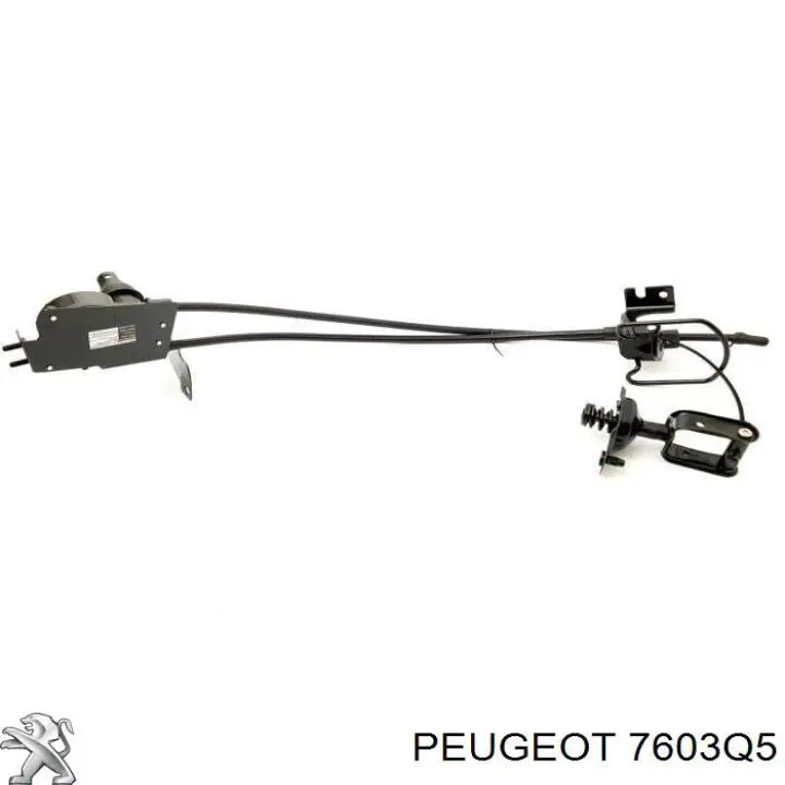 Купить 7603Q5 Peugeot/Citroen Кронштейн запасного колеса