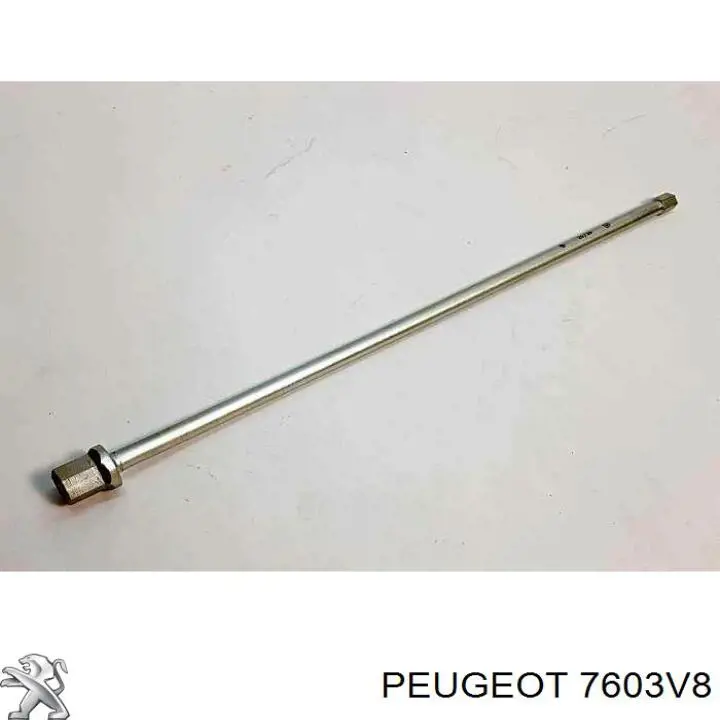 Подъемник запасного колеса Peugeot/Citroen 7603V8 цена, от 168.41 USD