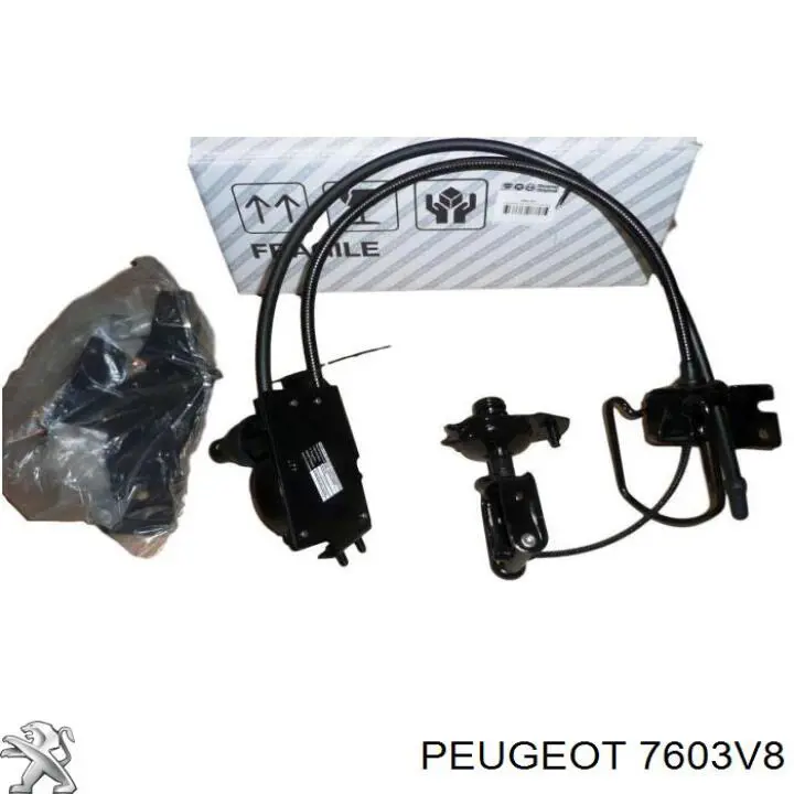 Cabrestante de rueda de repuesto 7603V8 Peugeot/Citroen