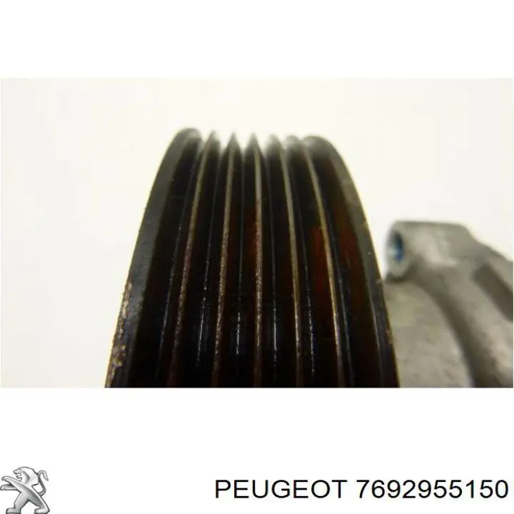 Купить 7692955150 Peugeot/Citroen 