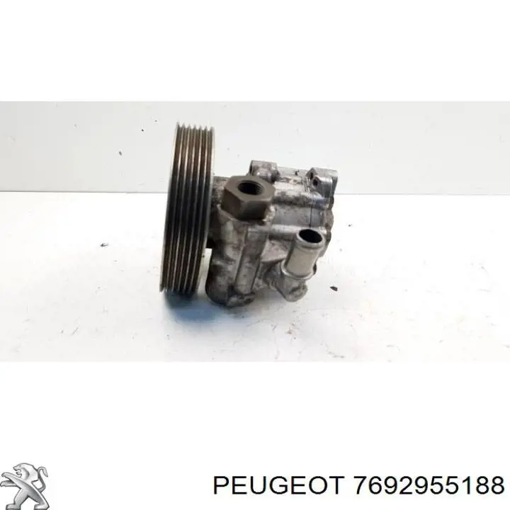 Купить 7692955188 Peugeot/Citroen Насос рулевого управления