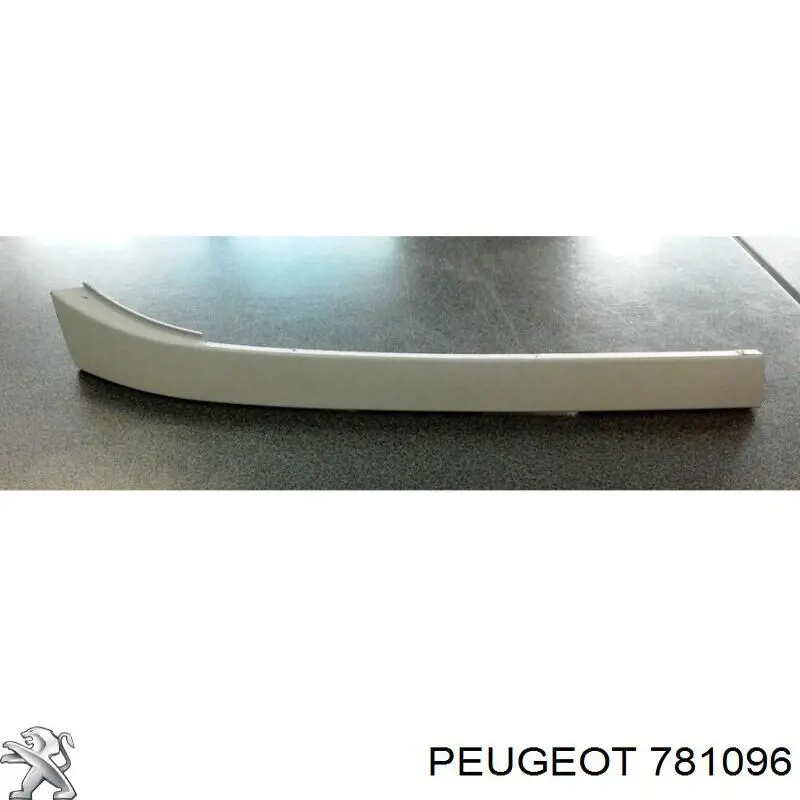 781096 Peugeot/Citroen ripa (placa sobreposta da luz direita)