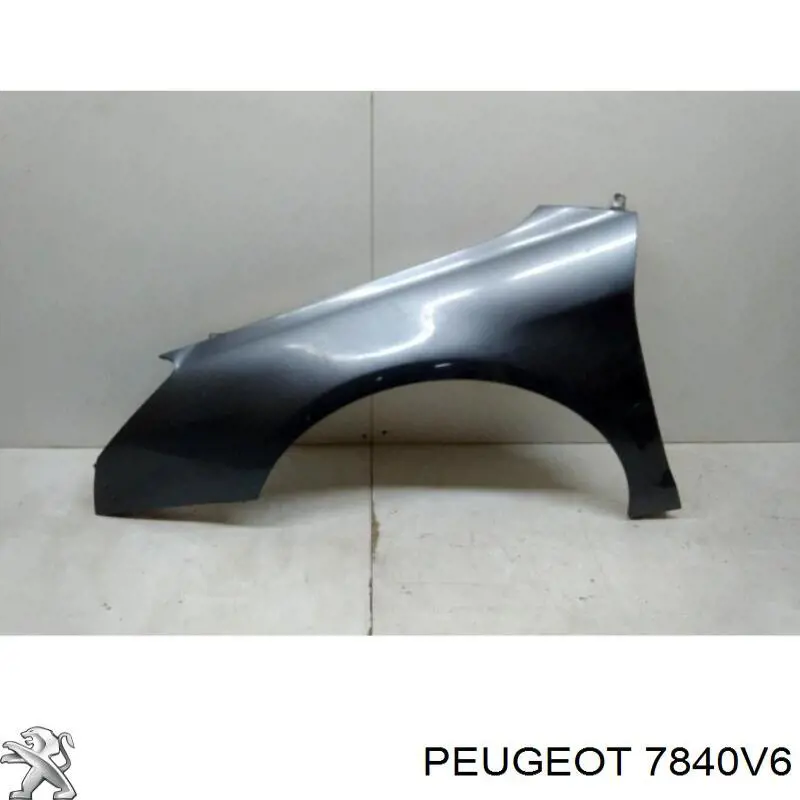 7840V6 Peugeot/Citroen pára-lama dianteiro esquerdo