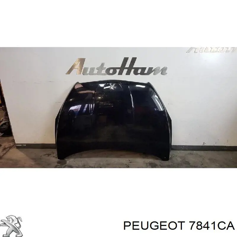 Боковая часть передняя правая Polcar 575602 цена, от 92.45 USD