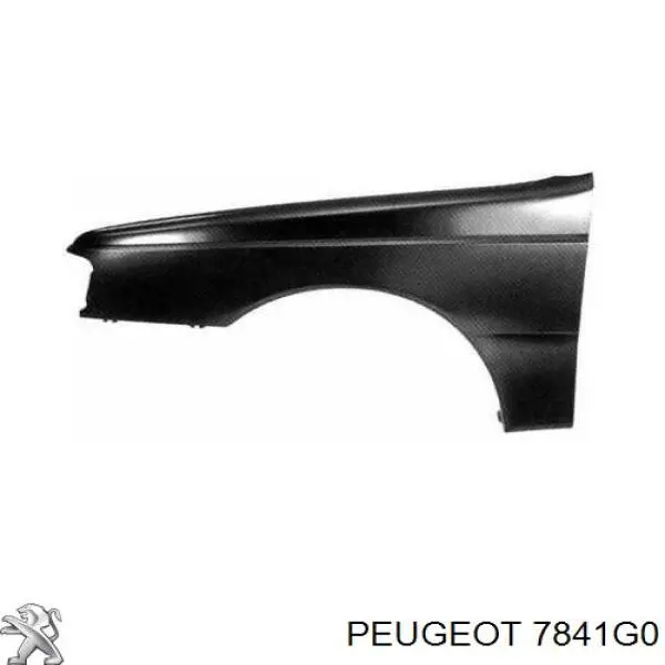7841G0 Peugeot/Citroen pára-lama dianteiro direito